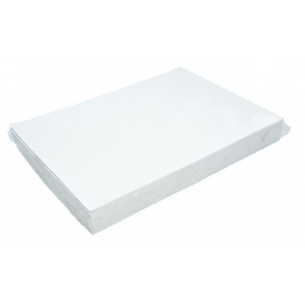 HOJAS DE GARBANZO BLANCO DE 180 GRS. x250