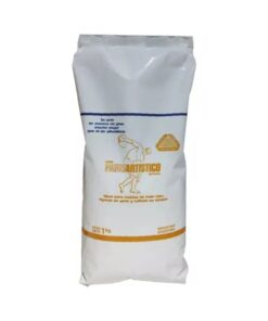 YESO PARIS ARTISTICO X1 KILO