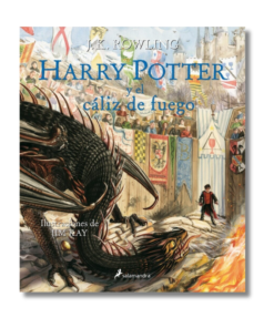 HARRY POTTER Y EL CALIZ DE FUEGO    ROWLING,J.K.