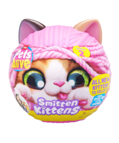 PETS ALIVE - SMITTEN KITTENS