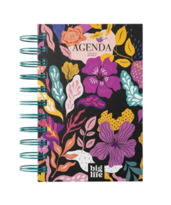 AGENDA 2027 BIG LIFE MEMORIAS