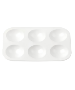 HUEVERA PLASTICA SINOFIRM SFA051
